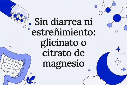 Ilustración relacionada con el magnesio, la digestión y el sueño